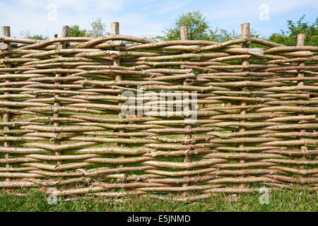 Wattle escrime à l'Âge de Bronze Fen Drapeau Fenland Centre Cambridgeshire UK Banque D'Images