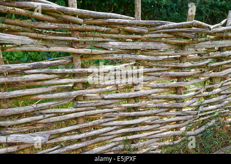 Wattle escrime à l'Âge de Bronze Fen Drapeau Fenland Centre Cambridgeshire UK Banque D'Images