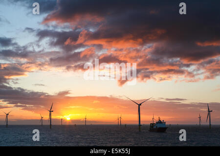 Coucher de soleil sur la Gwynt y Mor parc éolien offshore au large de la côte nord du Pays de Galles au cours de la phase de construction Printemps 2014 Banque D'Images