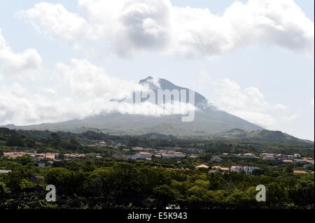 Lisbonne. 22 juillet, 2014. La photo prise le 22 juillet 2014 montre les vignobles et le mont Pico (arrière-plan) dans l'île de Pico, Portugal. L'île de Pico est une île des Portugais des Açores. Paysage de l'île de Pico de la culture viticole a été inscrit par l'UNESCO comme patrimoine mondial en 2004. © Zhang Liyun/Xinhua/Alamy Live News Banque D'Images