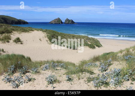 Les Kelseys, Gull Rocks et baie de Holywell, North Cornwall, England, UK Banque D'Images