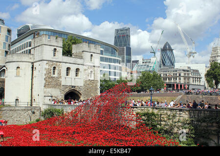 London England UK. 3e août 2014. Dans le cadre du centenaire événements marquant le début de la Première Guerre mondiale, 888 246 coquelicots en céramique sont plantées à la Tour de Londres, une pour chacun des troupes coloniales britanniques ou qui ont été tués. Les coquelicots sont conçus par l'artiste céramiste Paul Cummins. Le dernier coquelicot va être planté symboliquement le 11 novembre 2014. Credit : Julia Gavin/Alamy Live News Banque D'Images