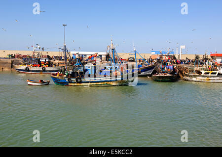 Port de pêche très occupé,Côte Atlantique,quelques 250 espèces de poissons capturés,tous les jours,Enchères,grandes captures de sardines,Essaouira,Maroc Banque D'Images