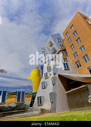 BOSTON - 06 juin : Ray et Maria Stata center sur le campus du MIT. Photo prise le 06 juin 2014 à Cambridge, Massachusetts, Etats-Unis. Banque D'Images