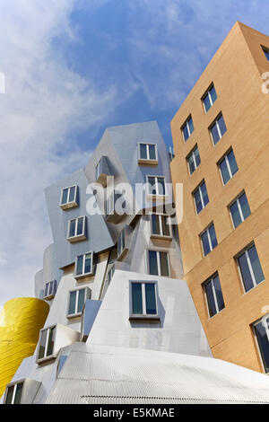 BOSTON - 06 juin : Ray et Maria Stata center sur le campus du MIT. Photo prise le 06 juin 2014 à Cambridge, Massachusetts, Etats-Unis. Banque D'Images