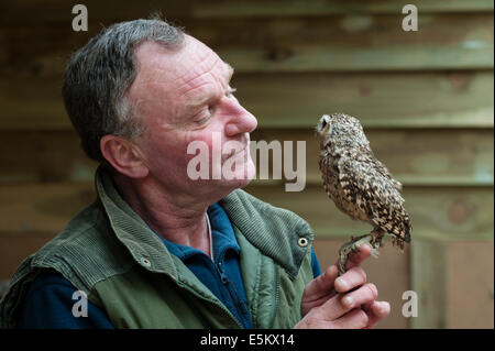 The Small Breeds Farm Park and Owl Centre, Kington, Herefordshire, Royaume-Uni. Propriétaire Jay Brittain avec Spike, un hibou des terriers Banque D'Images