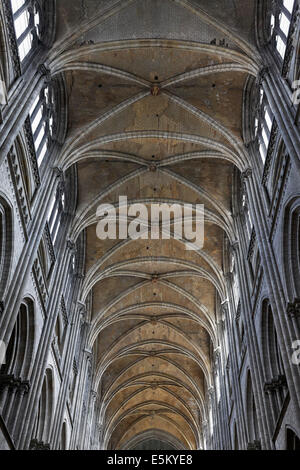 Nef de la cathédrale de Rouen, la cathédrale de Notre-Dame, Rouen, Seine-Maritime, Haute-Normandie, France Banque D'Images