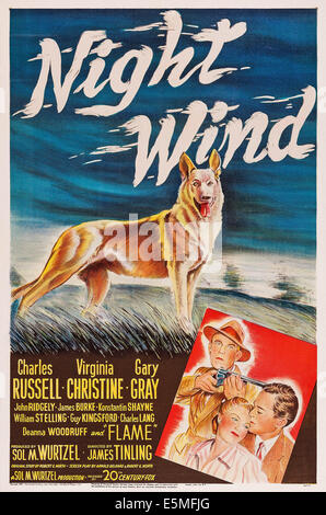 Le vent, la nuit, en haut au centre de l'affiche de nous : Flame (chien), en bas de gauche à droite : John Ridgely, Virginia Christine, Charles Russell, 1948. TM & Banque D'Images