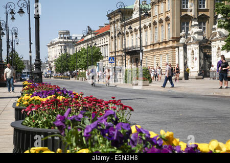 La rue Nowy Swiat à Varsovie avec des fleurs fleurit en mai Banque D'Images