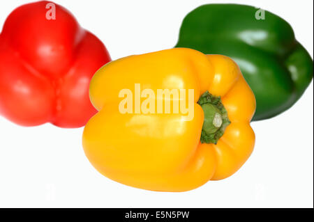 Vert, jaune et rouge fruits poivron (Capsicum annuum) Banque D'Images