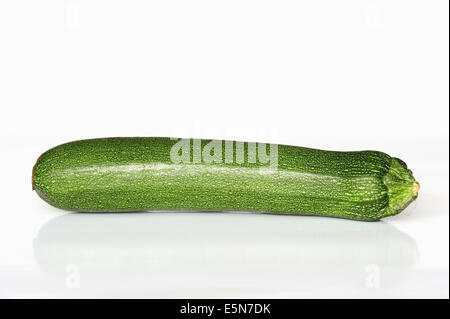 Courgette (Cucurbita pepo var. giromontiina, Cucurbita pepo ssp. pepo convar giromontiina) Banque D'Images