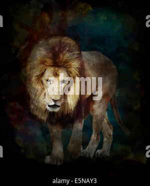 Aquarelle peinture digitale de marcher Lion sur fond noir Banque D'Images