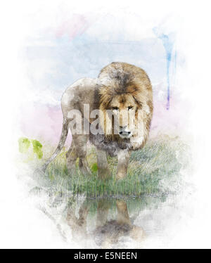 Aquarelle peinture digitale de Lion près de Pond Banque D'Images