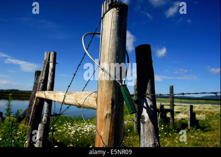 La fourche de Henry de la rivière Snake, sous le pont Osborn et la route 20, adjacente à la zone connue sous le nom de la fosse de gravier Banque D'Images