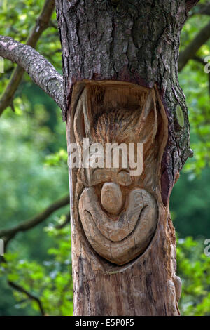 Drôle de visage sculpté dans le tronc de l'arbre Banque D'Images