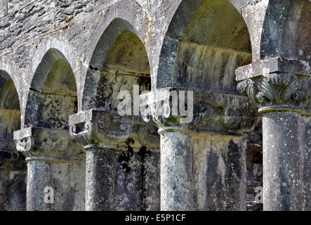 Caractéristiques architecturales de les ruines d'Abbaye de Cong, Cong, dans le comté de Mayo, Irlande une ancienne Abbaye Augustinienne du 13e siècle. Banque D'Images