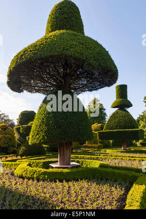 Levens Hall, Cumbria, Royaume-Uni. A la fin de 16c Manor House célèbre pour son jardin topiaire excentrique, appartenant à la famille Bagot Banque D'Images