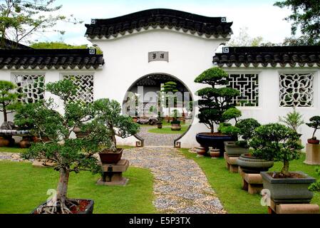 Singapour : UNE moongate perce un mur à la Bonsaï jardins dans le jardin chinois Banque D'Images