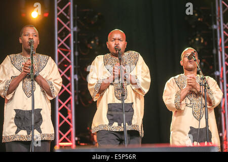 Grammy award winning bande sud-africain Ladysmith Black Mambazo apparaissant au Cambridge Folk Festival le 3 août 2014. Banque D'Images