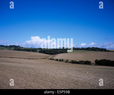 Vue sur la colline de Crockton vers downland et Martin Wood près du village de Cranborne Dorset Angleterre Banque D'Images