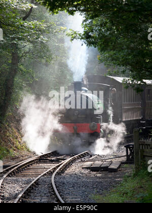 Le moteur à vapeur 'Sir Cecil UN Cochrane' à la gare Tanfield, Durham. Banque D'Images