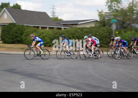 Alberta, Canada. 4th août 2014. Les coureurs de vélo dans le peloton se tournent autour d'un coin sur un tour du Criterium dans la communauté de Bowness lundi, 4 août 2014. Cette course cycliste sur rue marque le 13th anniversaire du Tour de Bowness à trois courses. Calgary, Alberta, Canada. Crédit : Rosanne Tackaberry/Alamy Live News Banque D'Images