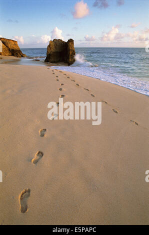 Empreintes sur plage à Sint Maarten, Antilles Banque D'Images