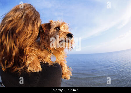 Femme avec chien de terrier de Norfolk on beach Banque D'Images