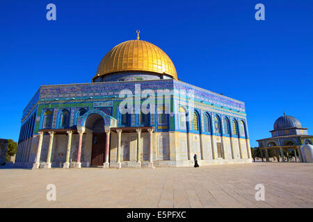 Le dôme du Rocher, sur le mont du Temple, Site du patrimoine mondial de l'UNESCO, Jérusalem, Israël, Moyen Orient Banque D'Images