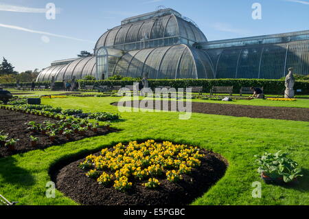 Kew Gardens Palm House récemment plantés avec fleurs de printemps, Royal Botanic Gardens, Kew, Site de l'UNESCO, London, England, UK Banque D'Images