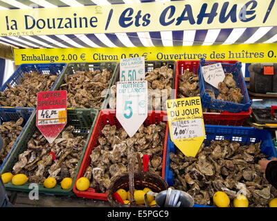 Les huîtres en vente sur market stall, Cancale, Bretagne, France, Europe Banque D'Images