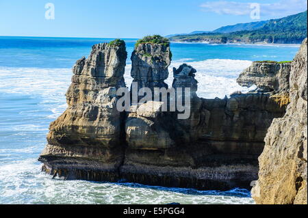 Belle Rock formation, Pancake Rocks, Paparoa National Park, côte ouest, île du Sud, Nouvelle-Zélande, Pacifique Banque D'Images