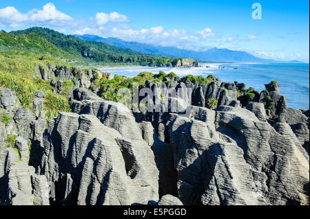 Pancake Rocks, Paparoa National Park, côte ouest, île du Sud, Nouvelle-Zélande, Pacifique Banque D'Images