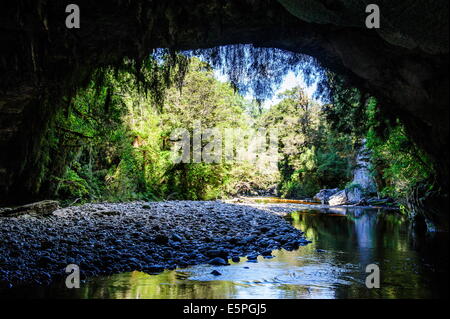 Moria Gate Arch dans le bassin Oparara, Karamea, côte ouest, île du Sud, Nouvelle-Zélande, Pacifique Banque D'Images