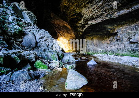 Oparara Arch dans le bassin Oparara, Karamea, côte ouest, île du Sud, Nouvelle-Zélande, Pacifique Banque D'Images