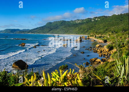 La côte ouest de l'île du Sud entre Greymouth et Westport, côte ouest, île du Sud, Nouvelle-Zélande, Pacifique Banque D'Images