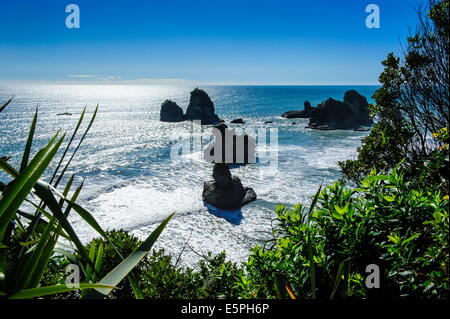 Des affleurements rocheux dans l'océan le long de la route entre Greymouth et Westport, côte ouest, île du Sud, Nouvelle-Zélande, Pacifique Banque D'Images