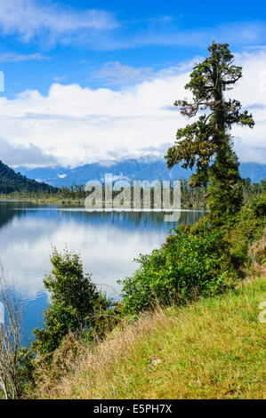 Okarito lagoon, de grandes zones humides non modifié le long de la route entre Fox Glacier et Greymouth, île du Sud, Nouvelle-Zélande, Pacifique Banque D'Images