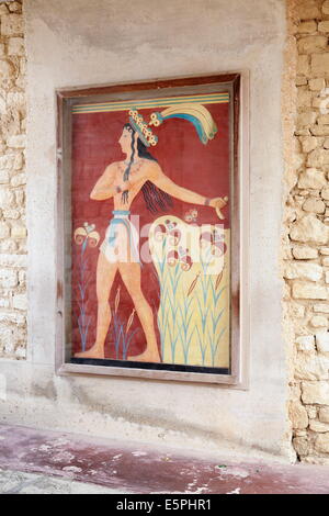 Fresque de palais de Knossos, Iraklion (Heraklion) Herklion, Crète, îles grecques, Grèce, Europe Banque D'Images