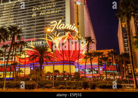 Néon, Las Vegas Strip au crépuscule avec façade Flamingo et de palmiers, Las Vegas, Nevada, United States of America Banque D'Images