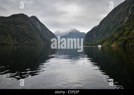 Son douteux, Fiordland National Park, site du patrimoine mondial de l'UNESCO, l'île du Sud, Nouvelle-Zélande, Pacifique Banque D'Images