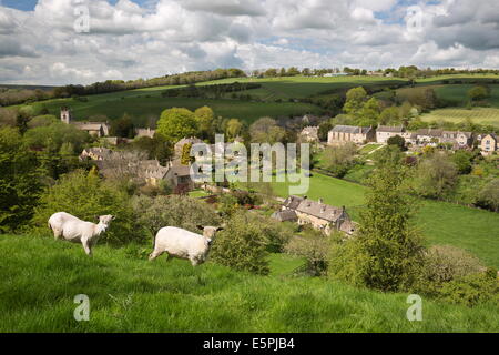 Naunton, Cotswolds, Gloucestershire, Angleterre, Royaume-Uni, Europe Banque D'Images