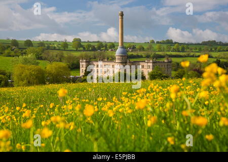 Bliss Moulin avec renoncules, Cotswolds, Chipping Norton, Oxfordshire, Angleterre, Royaume-Uni, Europe Banque D'Images