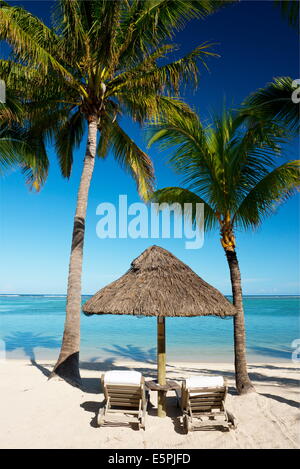 Palmiers et plage de sable blanc près de l'hôtel Lux Le Morne sur la péninsule Le Morne Brabant, Maurice, océan Indien, Afrique Banque D'Images