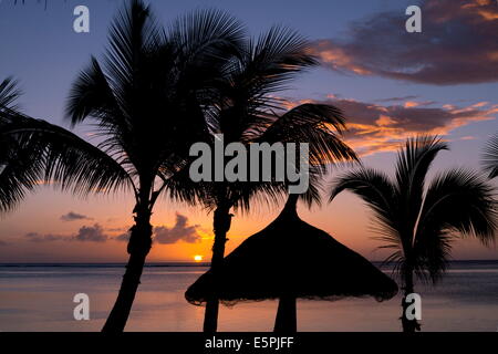 Coucher du soleil à travers les palmiers sur la plage, à l'hôtel Lux Le Morne sur la péninsule Le Morne Brabant, l'Ile Maurice Banque D'Images