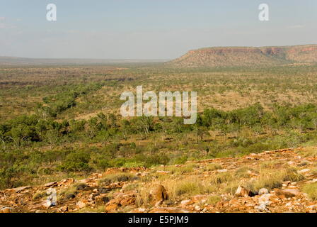 Le plateau de Kimberley, vu de la section orientale de Gibb River Road, Western Australia, Australie, Pacifique Banque D'Images