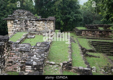 La Petite Acropole acropole (Ouest), site archéologique maya, Yaxchilan, Chiapas, Mexique, Amérique du Nord Banque D'Images