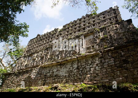 33 Structure, Site archéologique maya, Yaxchilan, Chiapas, Mexique, Amérique du Nord Banque D'Images