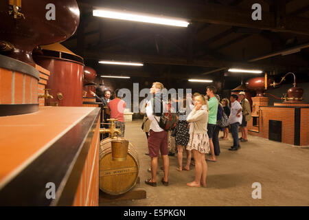 Tour guide expliquant aux visiteurs le processus de distillation à Hennessy. Banque D'Images