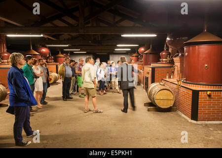 Tour guide expliquant aux visiteurs le processus de distillation à Hennessy. Banque D'Images